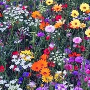 Meet your Posher, Valerie